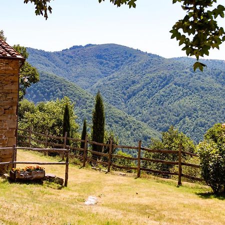 Agriturismo Con Piscina In Toscana, Tribbiano Ареццо Экстерьер фото